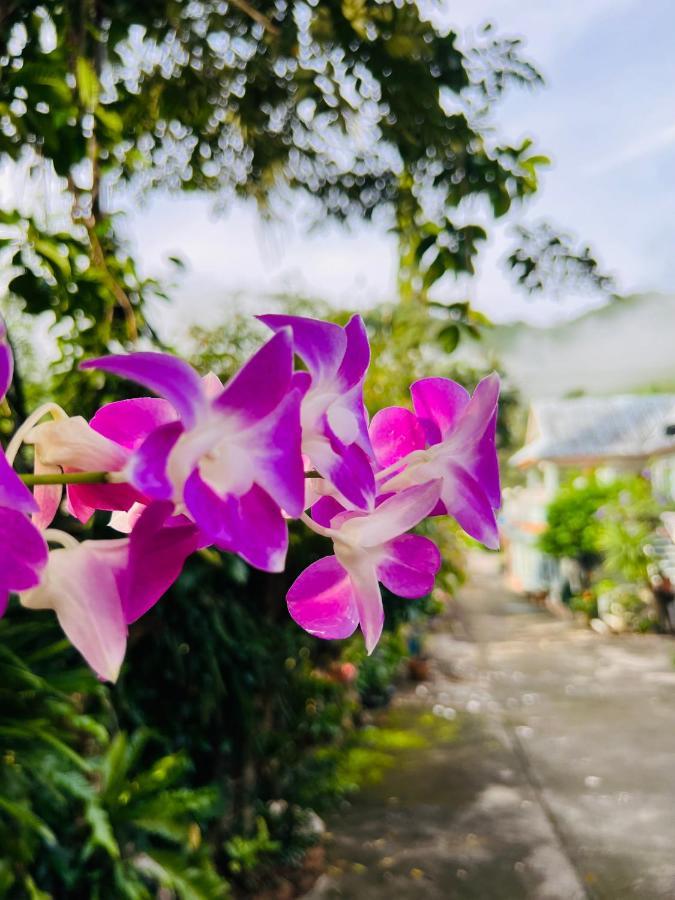 Suriyan Villa Erawan Kanchanaburi สุริยัน วิลล่า เอราวัณ กาญจนบุรี Tha Kradan Eksteriør billede